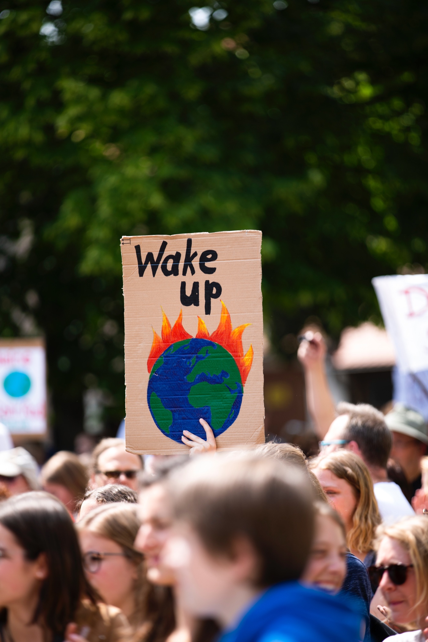 "Positives Signal für die Klimapolitik" "Positives Signal für die Klimapolitik"