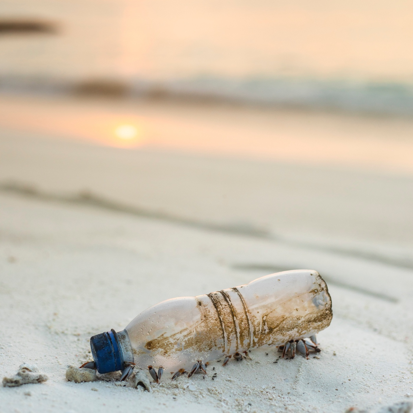 Wo es Alternativen gibt, muss Einwegplastik verschwinden Wo es Alternativen gibt, muss Einwegplastik verschwinden