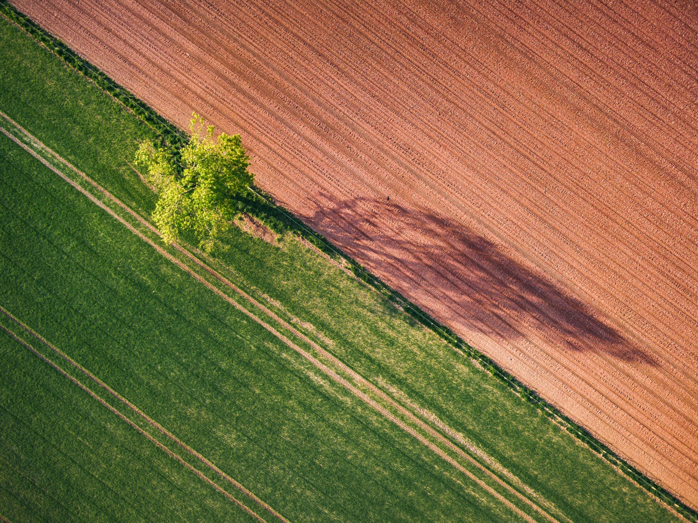 Mehr Schutz für Mensch, Tier und Klima. Nein zu dieser Agrarreform. Mehr Schutz für Mensch, Tier und Klima. Nein zu dieser Agrarreform.