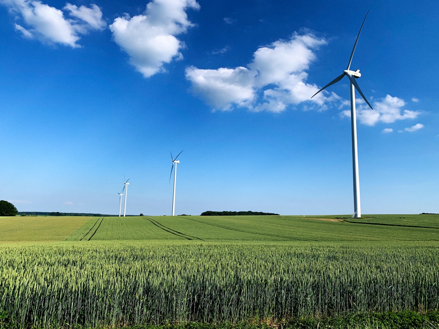 „Altmaier muss bei erneuerbaren Energien nachlegen" „Altmaier muss bei erneuerbaren Energien nachlegen"
