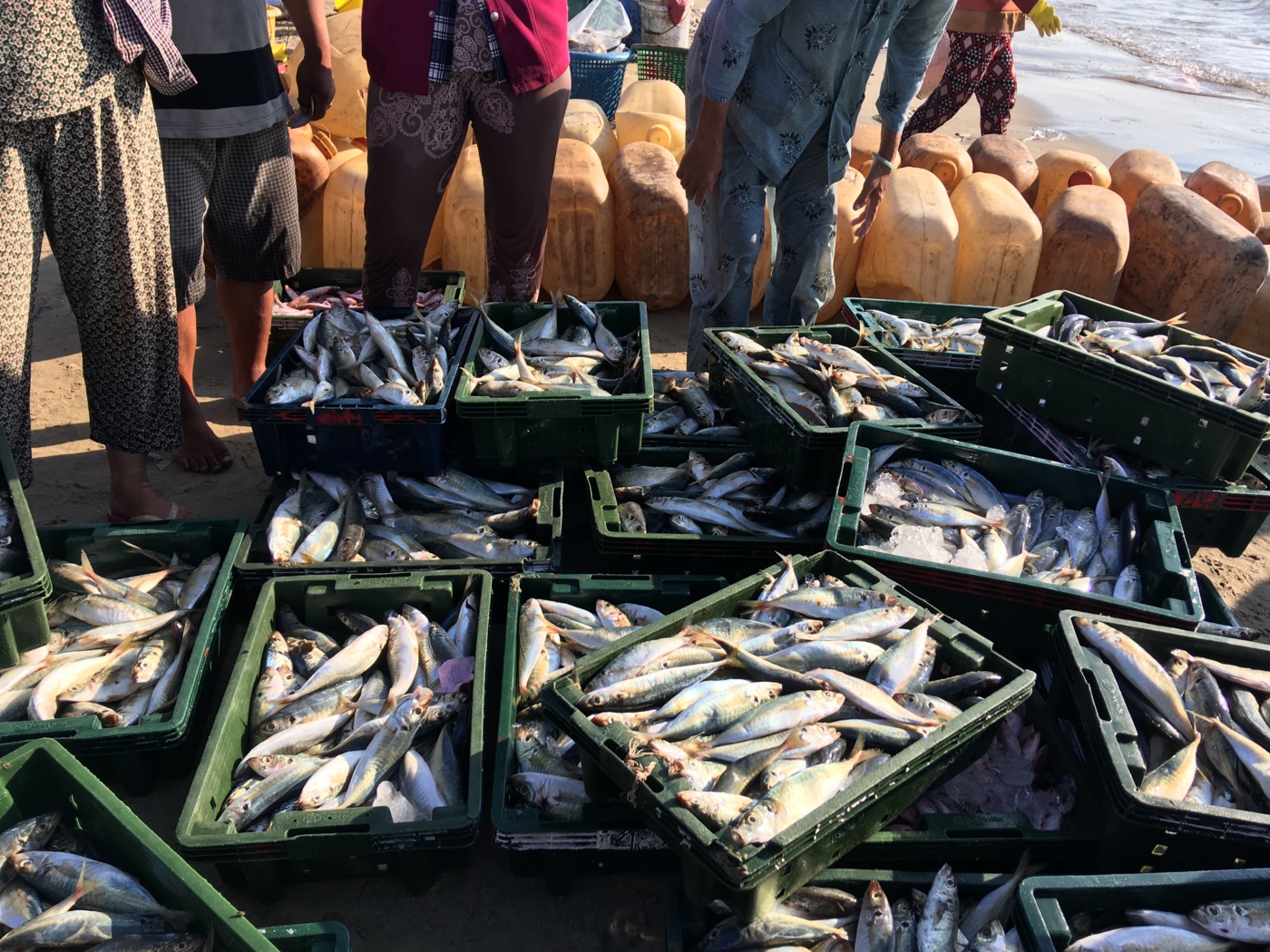 Fischerei muss den Menschen vor Ort zugutekommen