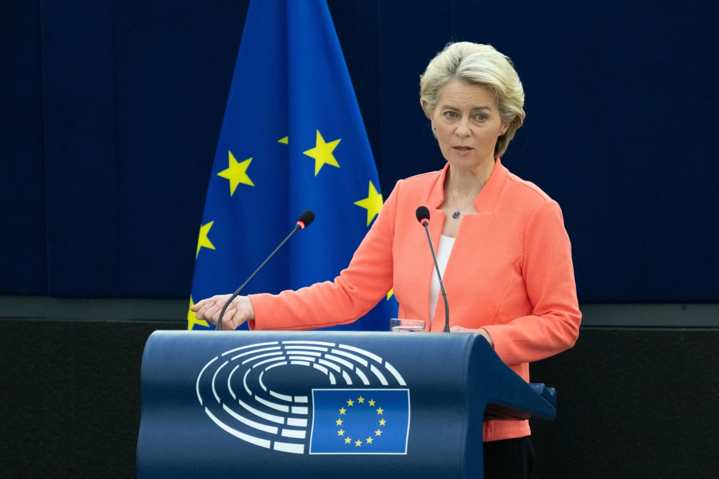 „Antworten auf entscheidende Fragen fehlen“ „Antworten auf entscheidende Fragen fehlen“