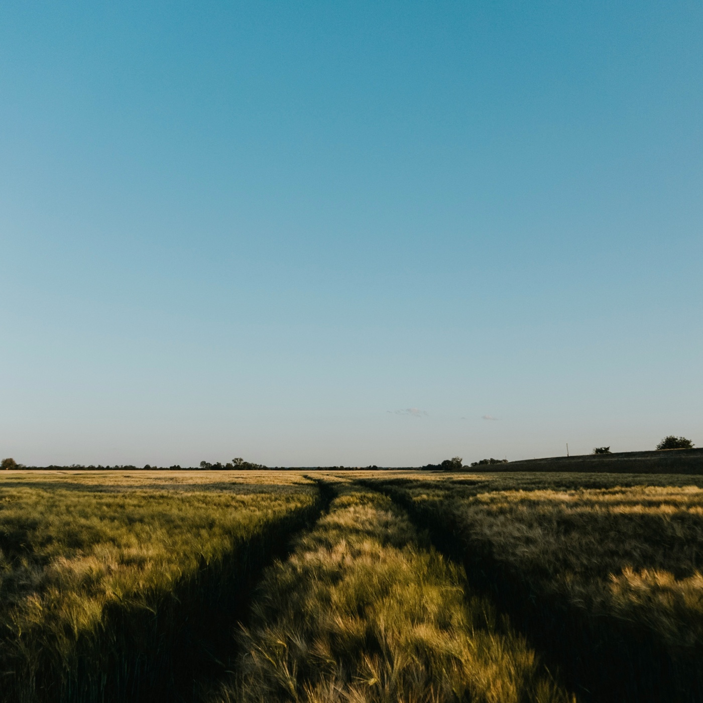 Kommission ignoriert wahre Probleme der Landwirtschaft Kommission ignoriert wahre Probleme der Landwirtschaft