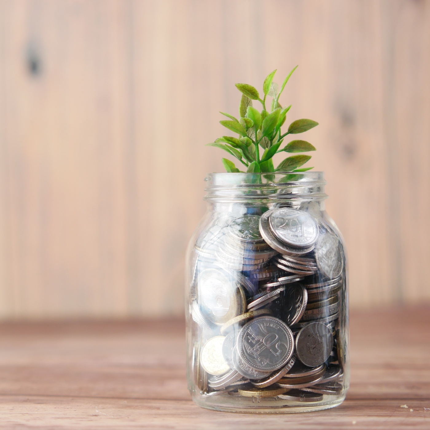 "Greenwashing auf Finanzmärkten verhindern" "Greenwashing auf Finanzmärkten verhindern"